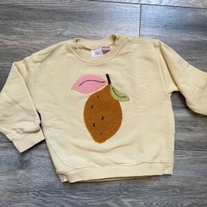 Zara toddler sweatshirt